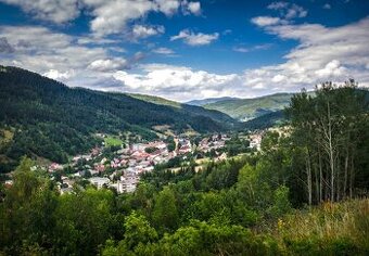 SMOLNÍK – 6.712 LESY v podiele 1/1 - NA PREDAJ