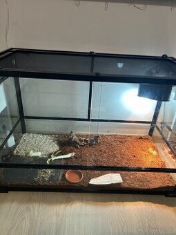 Suchozemské korytnačky s terariom