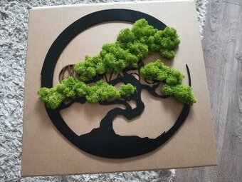 Machový obraz bonsaj