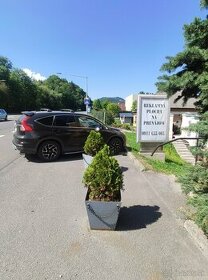 Prenajmem reklamné plochy citylighty - 1