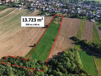 Farma / Chov koní pri Hlohovci - 13.700 m2 POZEMOK NA PREDAJ