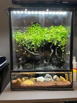 Paludarium