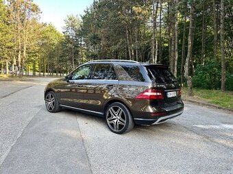 Mercedes ml350 bluetec