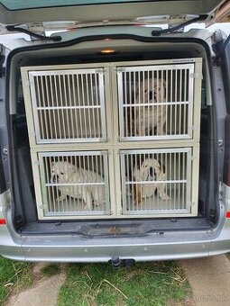 Box pre psov do auta