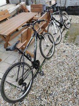 2 x Horský bicykel (17a 20palcový)