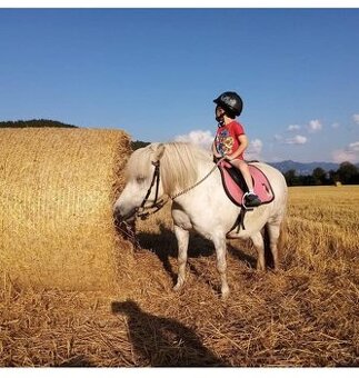 Hľadáme pony žrebca na pripúšťanie