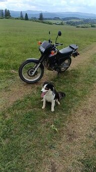 ZTR 165 + hrabačka