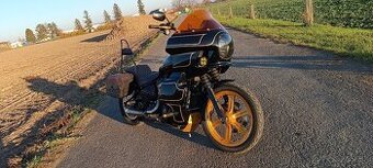 Street bob club style