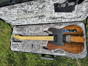 Fender Telecaster Malaysian Blackwood Limited Edition