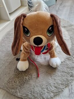 Predám psíka Floppy