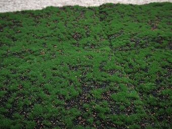 Umelá tráva a mach pre modelárov - 1