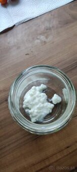 Kefírové zrná (tibetská huba)