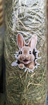 Seno pre domácich miláčikov