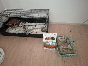 Klietka pre morske prasiatko , morčiatko