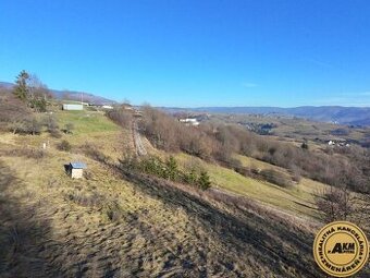 Pozemok  7900m2 Detva - Hriňová časť Blato  - Na predaj