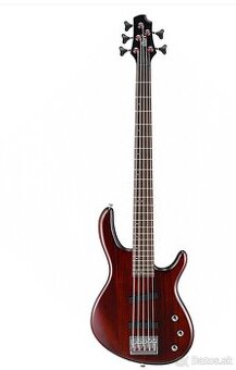 Predam basgitaru cort