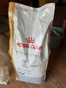 Predam granule Royal Canin professional labrador puppy
