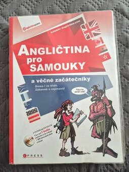Angličtina pro samouky