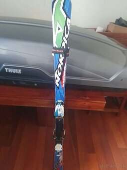 Nordica Dobermann GS