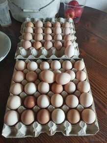 Vajíčka z domáceho chovu