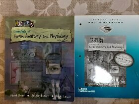 Hole's Essentials of Human anatomy and physiology