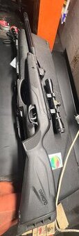 Gamo