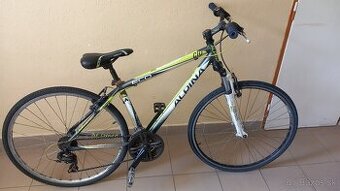 bicykel ALPINA ECO C10
