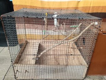 Predám klietky pre papagáje.