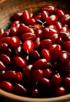 predám drieň velkoplodý Cornus mas, dřín, odolný krík