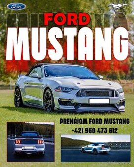 Bez KM LimitPrenajom Ford Mustang 5.0 GT USA