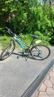 Dámsky bicykel CTM