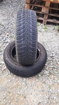 185/60r14 82T Danlop zimne - 1