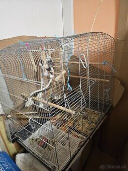 Predám velku zachovalu klietku s doplnkami