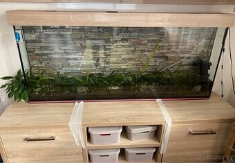 Predám akvárium
