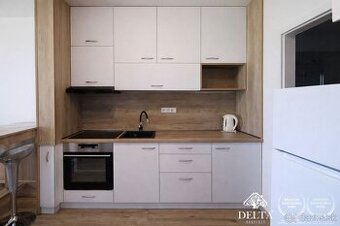 DELTA - 1-IZBOVÝ BYT S BALKÓNOM A PARKOVANÍM NA PRENÁJOM – P