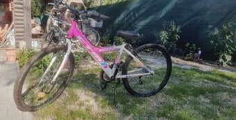 Detský bicykel CTM Ružový 14" rám a 24 kolesa