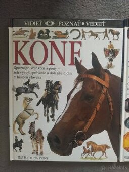 Kone - Vidieť, poznať, vedieť