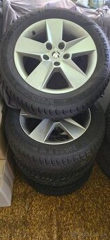 5x112,r16,ŠKODA,6,5Jx16,et46-205/55-Semperit-2024-8,2mm