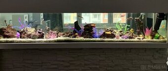 Predám akvárium