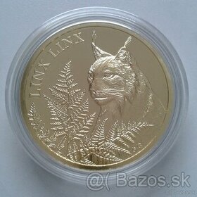 Zlatá minca Rys ostrovovid - Linx Linx