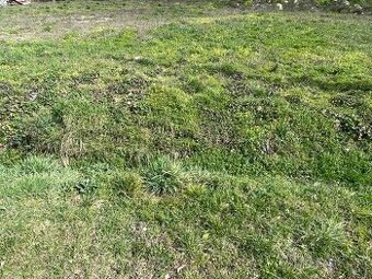 Pekných 1300 m2 pre Rodinný dom - priamo v Michalovciach