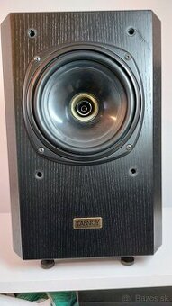 TANNOY - D100