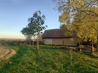 20á pozemok v obci Bojná / Topoľčany