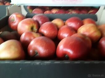 Predaj jablk