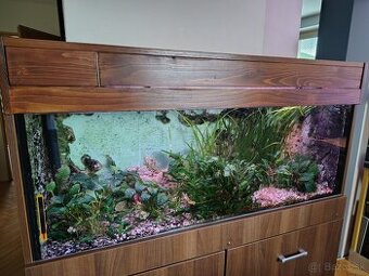 aquarium
