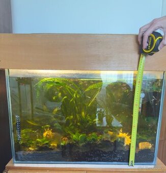 Akvarium s Gupkami