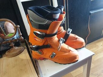 scarpa