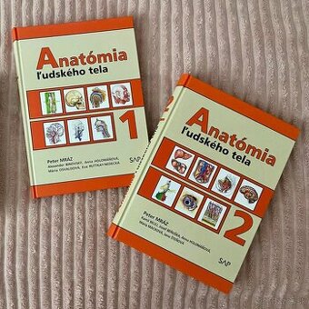 Anatómia Mráz 1 a 2