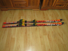 Predam ski-alp HAGAN,170 cm,Diamir do 335 mm