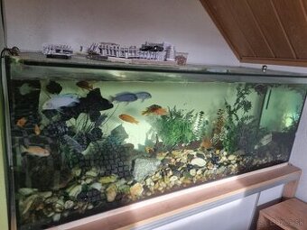 Akvárium 400l
